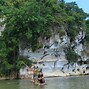 Burung Punai Kalimantan